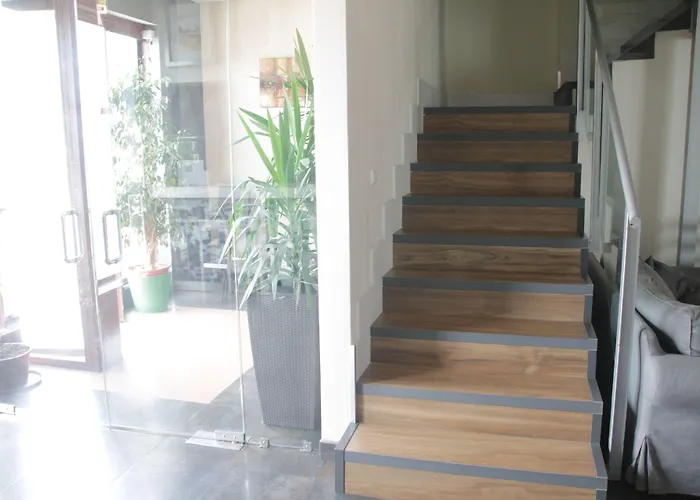 Francisco Salinas Konukevi Burgo