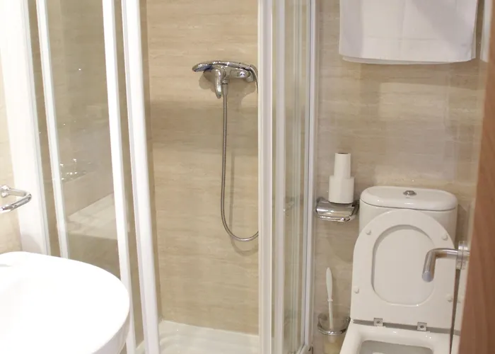 Francisco Salinas Konukevi Burgo