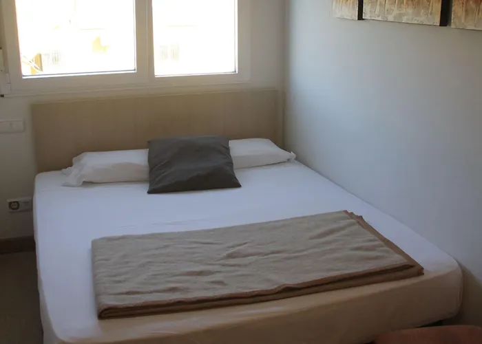 Francisco Salinas Konukevi Burgo